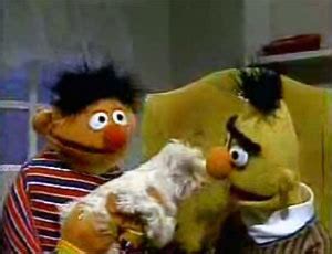 Ernie and Bert - Ernie and Bert Photo (9707957) - Fanpop