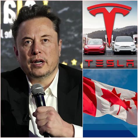 REVELAÇÃO CHOCANTE: O mundo inteiro ficou chocado com a declaração de 7