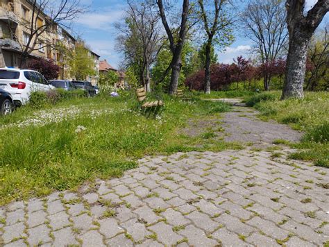 Foto Parc Din Centrul Timi Oarei N Paragin A Teapt Dup Inelul Iv