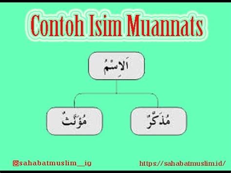 Contoh Isim Mudzakkar Dalam Al Quran 53 Koleksi Gambar