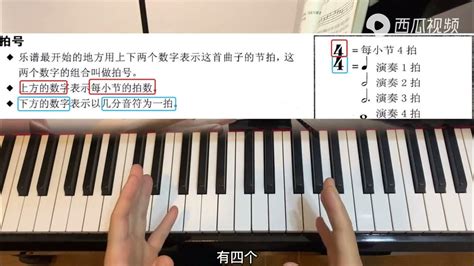 零基础成人钢琴教程第四课，五线谱 高音 低音谱号拍号 休止符 Youtube