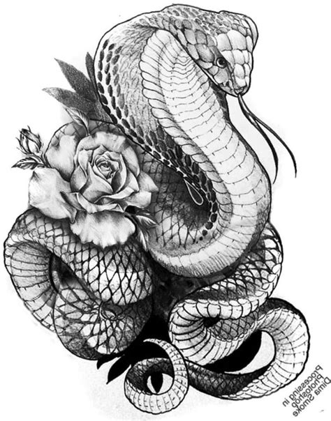 215+ King Cobra Tattoo Ideas - Express the Dual Side of Good and Evil