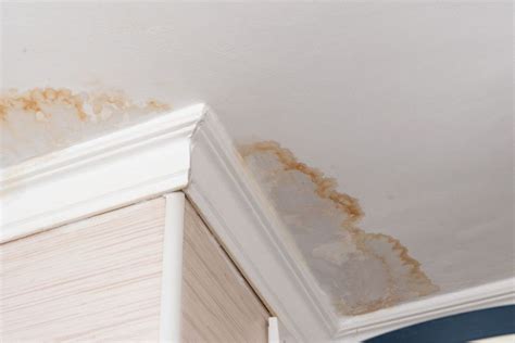 5 Ways to Identify Water Damage vs. Mold (and What to Do Next) - Bob Vila