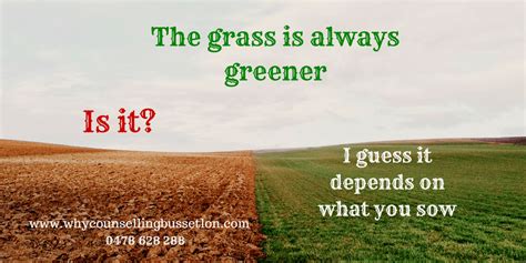 The Grass Is Always Greener - WholeHearted You Counselling Busselton