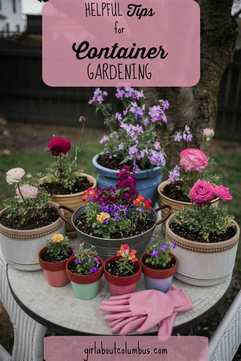 15 Helpful Tips For Successful Container Gardening Amanda Party Home