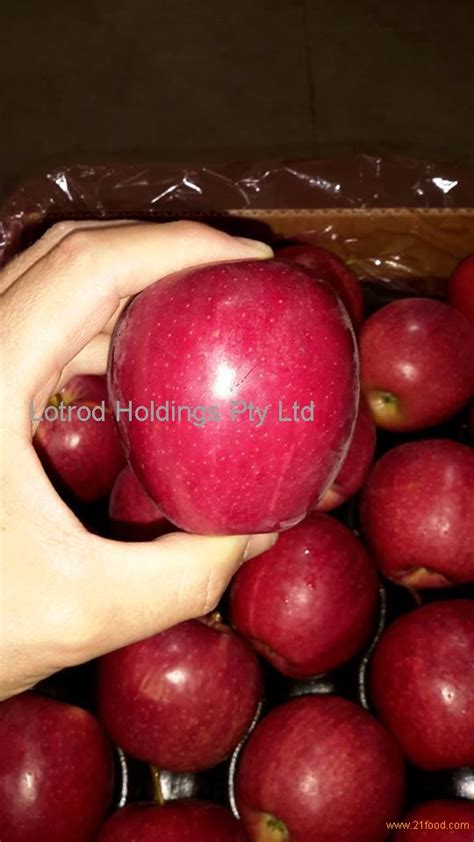 Exporters Of Royal Gala Apples From South Africasouth Africa Tru Cape