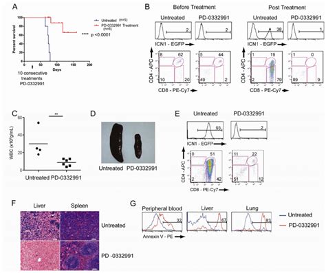 Pd 0332991 Inhibits Cyclin D3cdk46 Activity And T All Progression In