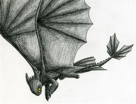 Toothless Flying Drawing At PaintingValley Explore Collection Of