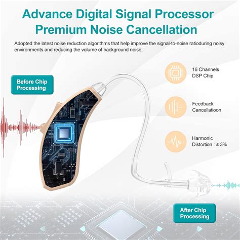 Buy Lentorgi Rechargeable Hearing Aids For Seniors With Noise