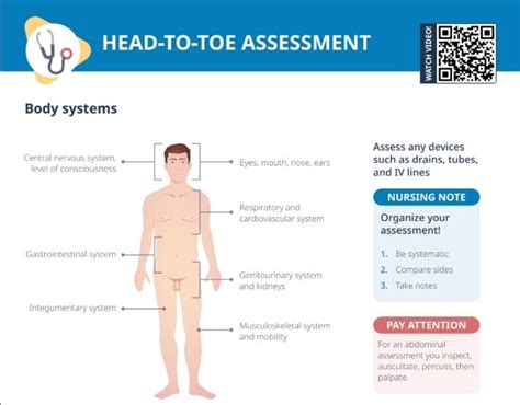 Head To Toe Assessment [ Free Cheat Sheet] Lecturio