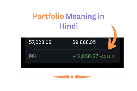 Portfolio Meaning In Hindi पोर्टफोलियो क्या है विस्तार से जानिए