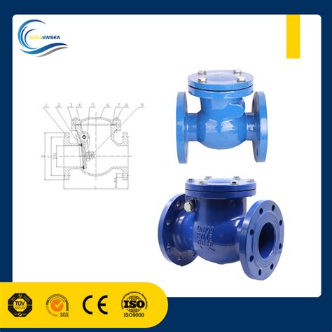 Dn50 2 Pn10 Pn16 Ductile Cast Iron Double Disc One Way Dual Non Return Wafer Type Flap Check