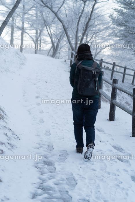 雪の中を歩くの写真素材 193131834 イメージマート