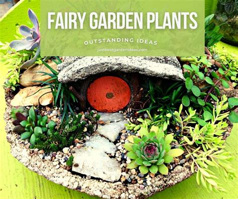 Tiny Plants for Fairy Garden - Best Garden Ideas