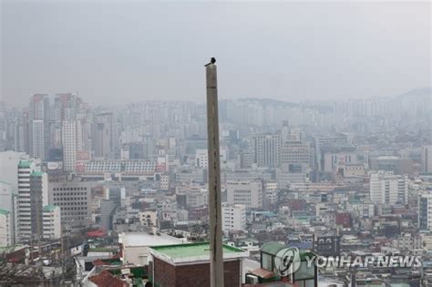 서울 초미세먼지주의보 해제 네이트 뉴스