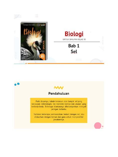 Biologi Sel | PDF