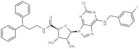 1 2 Chloro 6 3 Iodophenyl Methyl Amino 9H Purin 9 Yl 1 Deoxy N 3