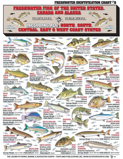 Nys Freshwater Fish Identification Chart