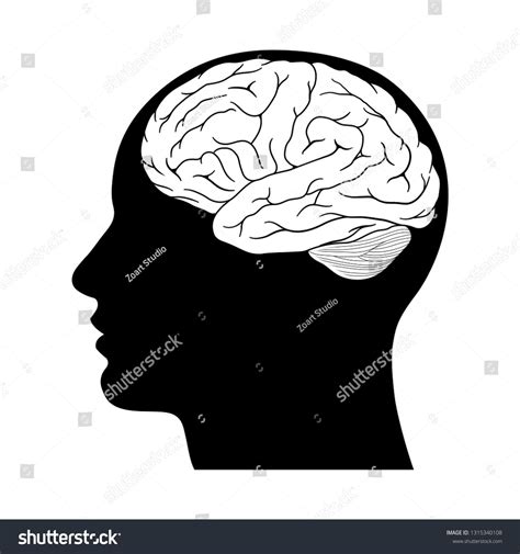 Head Silhouette With Brain