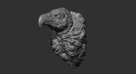 ArtStation - Vulture head | Resources