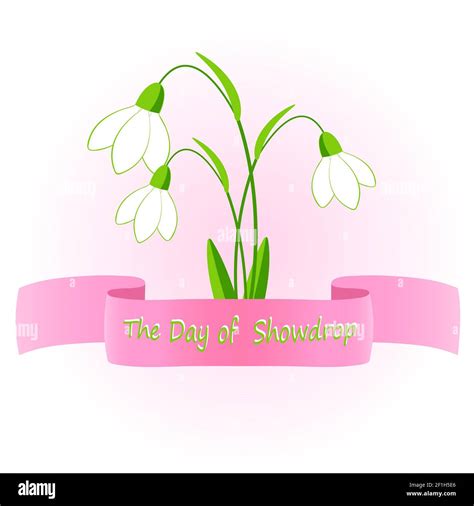 Vector Illustration Of Snowdrop Flowers Stock Photo Alamy