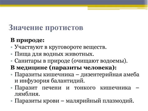 Протисты (одноклеточные эукариоты) - презентация онлайн