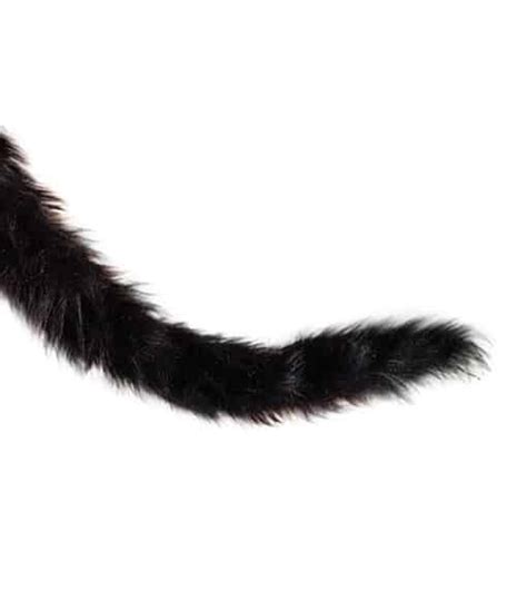 Cat tails that wag and tremble, stand up and get frisky! Lots of fun