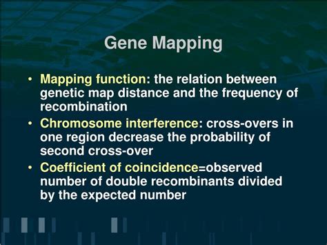 PPT Gene Linkage And Genetic Mapping PowerPoint Presentation Free