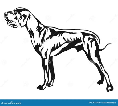 Decorative Standing Portrait Of Great Dane Vector Illustration Stock