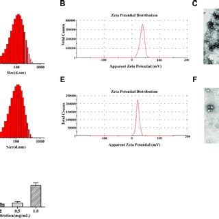 Size Distribution By Intensity A Zeta Potential B And Tem Images