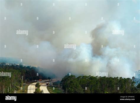 Aerial View Of Fire Department Firetrucks Extinguishing Wildfire