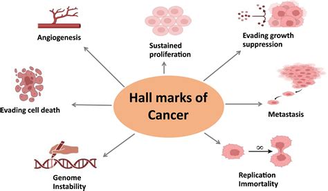 An Insight Into Cancer From Biomolecular Condensates