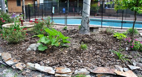 sew grown: Increasing soil fertility