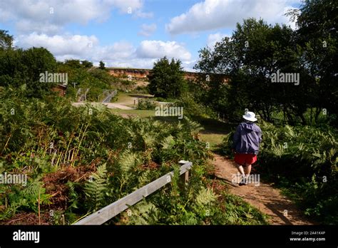 Minsmere Nature Reserve Hi Res Stock Photography And Images Alamy