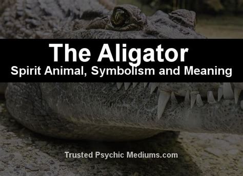 Alligator and Crocodile Spirit Animals - A Complete Guide