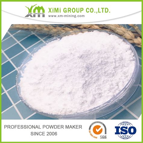 Paint Grade CaCO3 Powder 2500 Mesh Calcium Carbonate Limestone Powder