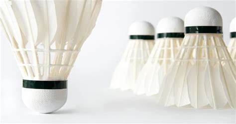 Badminton Shuttlecock - What You Need To Know Before Buying