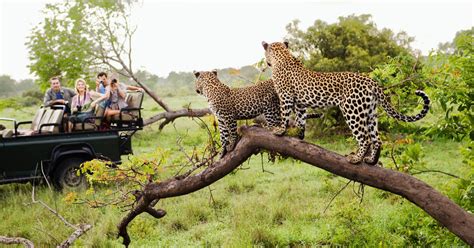 Llevo 20 Años Viajando A África Y Estas Son Las Cosas Que No Deberías