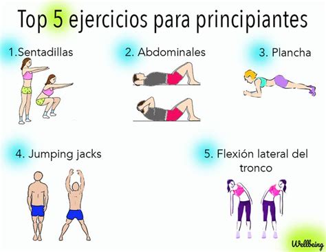 Los Ejercicios B Sicos M S Utilizados Ejercicio Para Principiantes