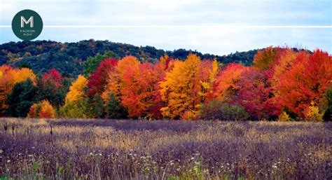 6 BEST PLACES TO SEE THE FALL LEAVES CHANGE COLORS IN THE MADISON AREA