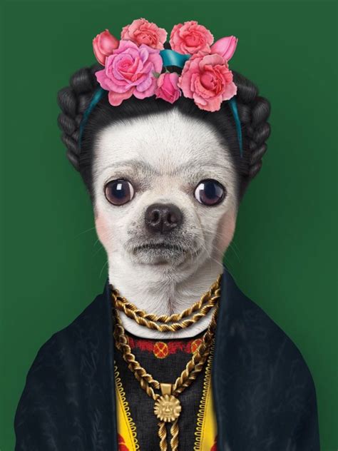Adorable Chihuahua With Flower Crown