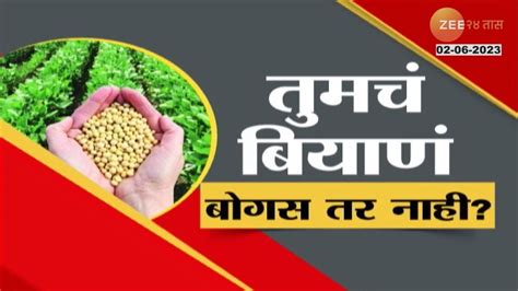 Special Report शेतकऱ्यांनो तुमचं बियाणं बोगस तर नाही कसं ओळखाल बोगस