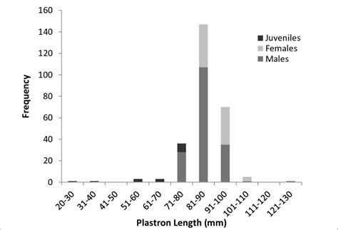 Body Size Frequency Distributions Of Juveniles N 15 Adult Female