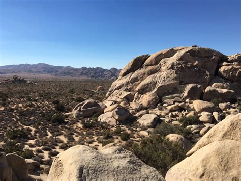 Best Time To Visit Joshua Tree National Park California California