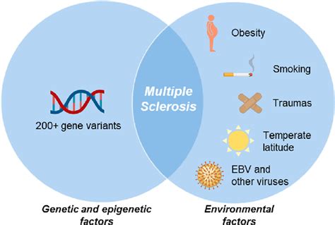 Risk Factors Of Multiple Sclerosis Download Scientific Diagram