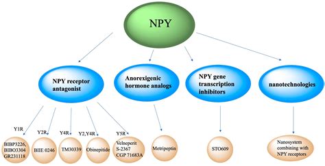 Frontiers Neuropeptide Y And Metabolism Syndrome An Update On