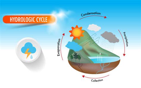 60+ Hydrologic Cycle Stock Photos, Pictures & Royalty-Free Images - iStock