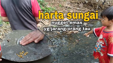 Mencari Menemukan Dan Menyaring Emas Di Aliran Sungai Harta Sungai