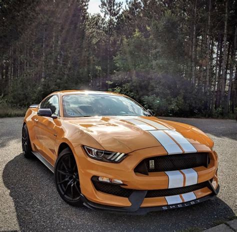 Pin By Ray Wilkins On Mustangs Ford Mustang Ford Mustang Gt