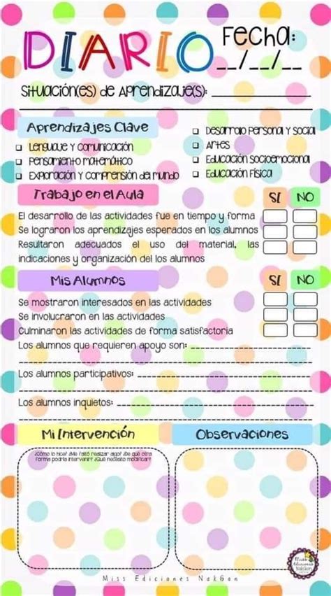 Formato De Registro Diario Gratis I Material Educativo 85D Carpeta